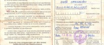 Afbeelding (44)